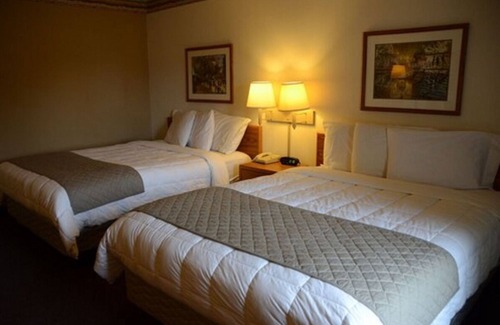 Thorp House | Friends Getaway! Budget Friendly, Free Parking and Breakfast, Pets Allowed!
