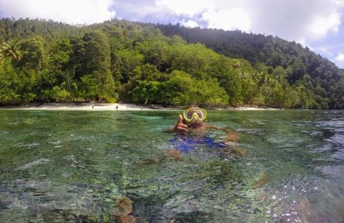 Mansuar Island House | Frits Homestay