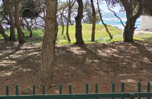 Rivabella Apartment | FRONTE PINETA MARE RIVABELLA