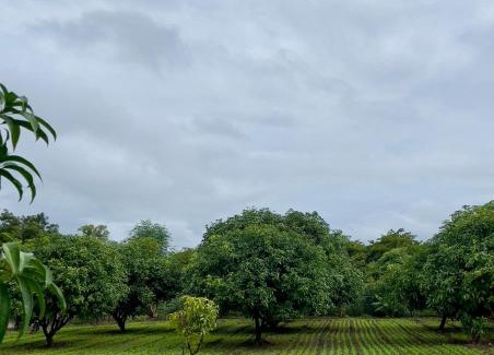 Junnar House | Fulgulab Lawns and Home Stay