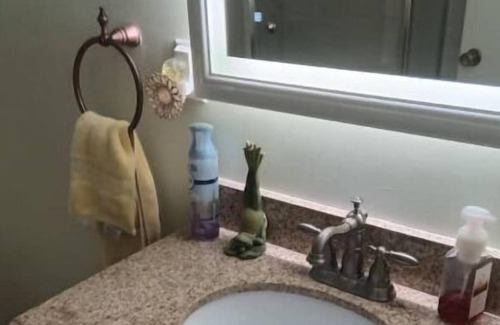 Alexandria Apartment | Full Basement Apartment