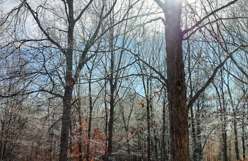 Ashland RV Rental | Full Hookup RV site-Pet Friendly! Big Foot Trail at Hairy Hiker Woods