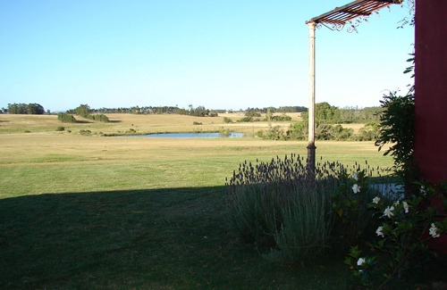 Los Morteros House | Full Sevice Beautiful 100 Acre Estate nearJose Ignacio, La Barra & Ocean Beaches