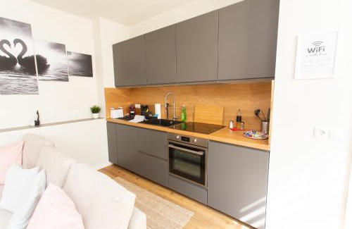 Zwickau Apartment | FullHouse - Zwickau - F45 Apartments - SmartTV - Nespresso