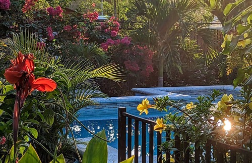 Samara House | Fully equipped studio, short walk to beach, stores and restaurants