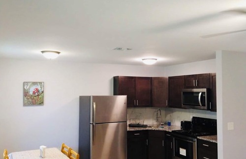 Highpoint Apartment | Fully Renovated Apt B in Clearwater