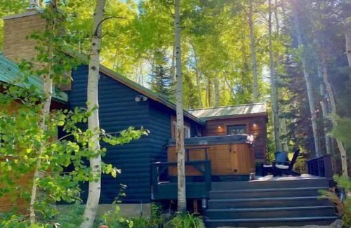 Salt Lake Mountain Resorts Cabin | Fully Renovated Luxury Brighton Cabin w/Hot Tub