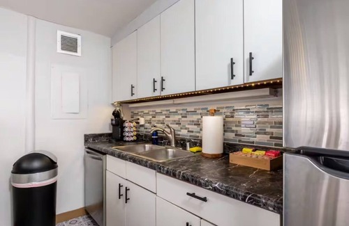 Printers Row Condo | Fun Downtown Penthouse #3 | Vintage +balcony&gym