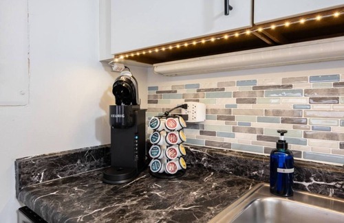 Printers Row Condo | Fun Downtown Penthouse #3 | Vintage +balcony&gym