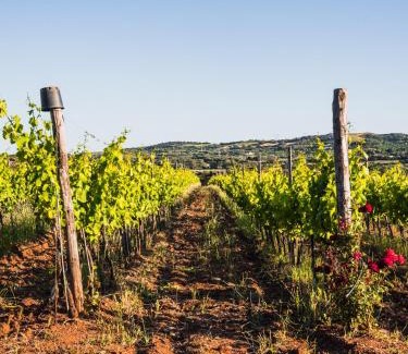 Gonnesa Bed & Breakfast | Funtana'e Mari