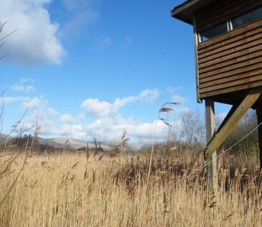 Eglwys-fach House | Furnace Cottage