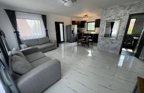 Curtea De Arges House | Furnicuta
