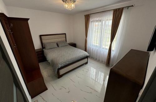 Curtea De Arges House | Furnicuta