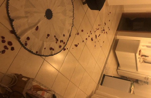 Rio das Ostras Apartment | Furnished apartment for up to 4 people