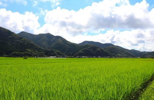 Tsushima House | Furusatozukuri"sagosyougakou" - Vacation STAY 12703v