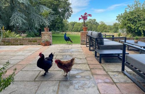 New Forest District House | Furzedown Farm House