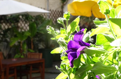 Krems an der Donau Bed & Breakfast | Gästehaus auf der Kunstmeile