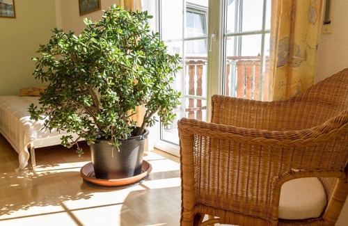 Meissen Apartment | Gästehaus Bechtloff - Holiday apartment with valley view