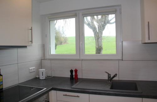 Uehlingen-Birkendorf Apartment | Gästehaus Dörflinger