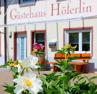 Bad Bellingen House | Gästehaus Höferlin