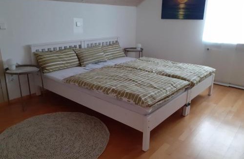 Parkstetten House | Gästewohnung in Parkstetten bei Straubing