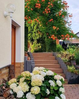 Steinau an der Strasse House | Gästezimmer Weinberg