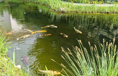 Trebbin Apartment | Gästezimmer mit Bezauberndem Garten und Koi-teich