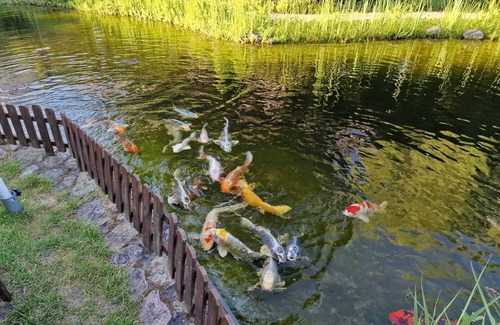 Trebbin Apartment | Gästezimmer mit Bezauberndem Garten und Koi-teich