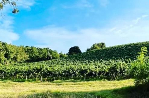 Gardie House | Gîte à la campagne