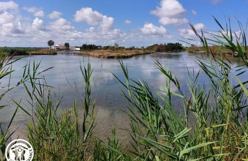 Bois-de-Cene House | Gîte 4 chambres avec bien-être et terrasses au cœur du Marais Breton - FR-1-426-559
