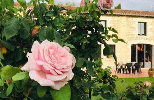 Tourtenay House | Gîte AU BOOM COEUR forfait Spa, Dîner & Petit-déjeuner inclus