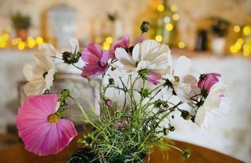 Montaigu-le-Blin House | Gîte avec Spa, Cheminée, Nature et Confort à Montaigu-le-Blin - FR-1-489-522