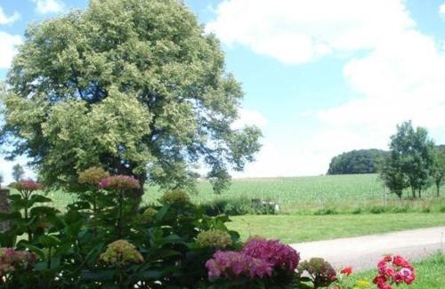 Esprels House | Gîte charmant avec jardin, proche activités lac et randonnée - FR-1-583-44