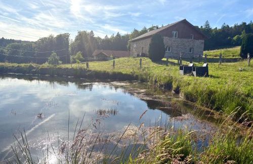 Tendon House | Gîte chez Mimile nature et déconnexion