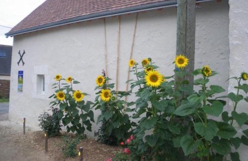 Cigogne House | Gîte confort aux portes des châteaux, jardin, terrasse, WIFI, vélos, proche A85 et balades nature - FR-1-381-502
