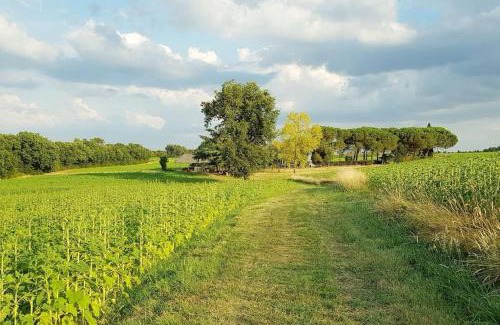 Cuq House | Gîte de campagne L'Estressol