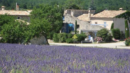 Sault House | Gîte de caractère au pied du Mont Ventoux avec piscine couverte