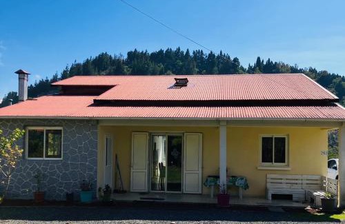 La Plaine des Cafres House | Gîte Hydrangea 974