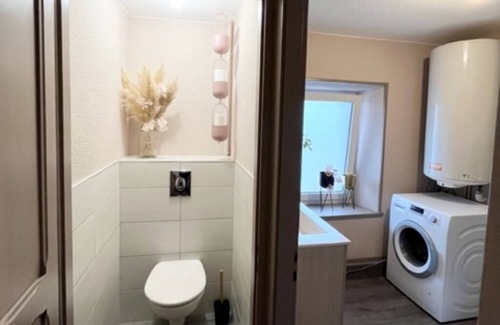 Ramonchamp Apartment | Gîte "la Rosée" à 10 min des Pistes de ski Animaux Acceptés