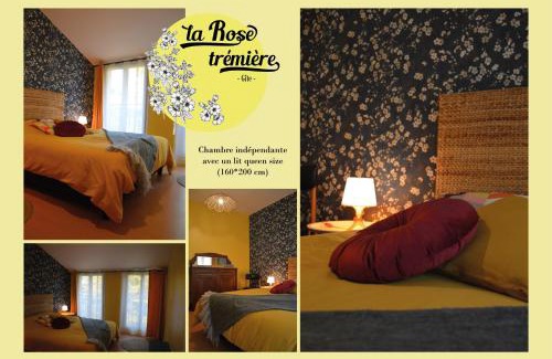 Joinville House | Gîte La Rose trémière