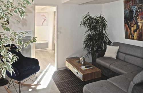 Chatillon-Coligny Apartment | Gîte, location meublé de tourisme 3 étoiles