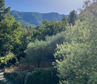 Gravieres Apartment | Gîte sensation