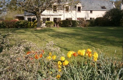 Thoire-sur-Dinan House | Gîte spacieux avec billard, cheminée & terrasse, près de la forêt de Bercé, Wi-Fi & activités nature - FR-1-410-337