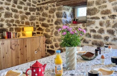 Usson-en-Forez House | Gîte spacieux avec bain nordique et wifi en pleine nature - FR-1-496-359