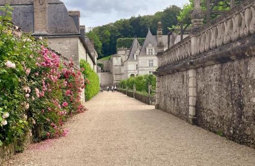 Villandry House | Gîte tout inclus avec jardin, clim, Wifi, proche Château de Villandry et Loire à vélo - FR-1-381-587