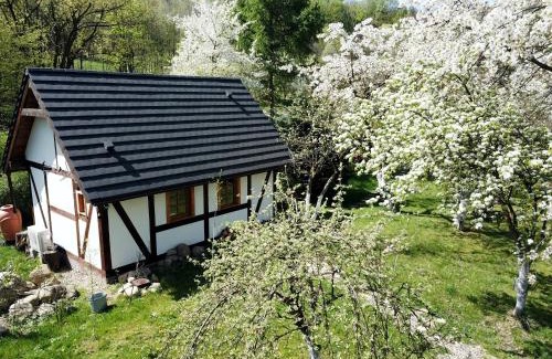 Piechowice Ski Chalet | Górski Sad - Bazylia