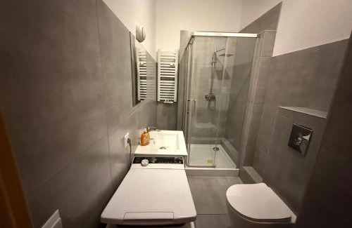 Boehlen Apartment | Günstige Monteurwohnungen östlich von Leipzig Nähe A14 in Wurzen