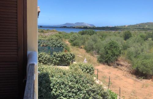 Murta Maria House | Gabbiano house