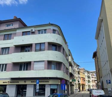 Satu Mare Apartment | Gabriela Central Apartment