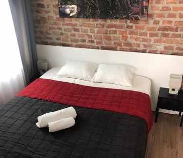 Satu Mare Apartment | Gabriela Central Apartment